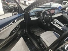 Geely Xingrui 2.0T Diesel Premium - ფოტო 15