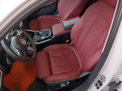 BMW 3 Series Facelift 320Li M Sport Package - ფოტო 14
