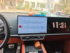 Li Auto L9 Max - ფოტო 5