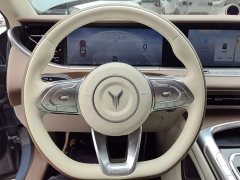 Voyah Lantu FREE Four-Wheel Drive Standard Extended Range Exclusive Luxury Package - photo 10
