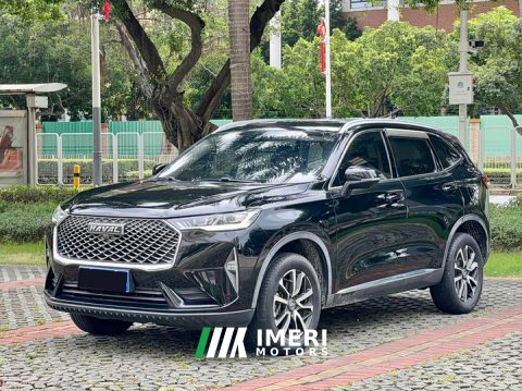 2021 Haval H6 Third Generation 1.5T Automatic Two-Wheel Drive Pro - ავტომობილი ჩინეთიდან