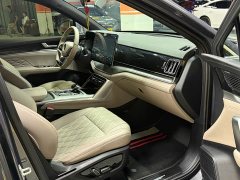 BYD Tang New Energy DM-i 115KM Premium Edition - ფოტო 12