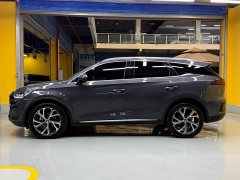 BYD Tang New Energy DM-i 115KM Premium Edition - ფოტო 8