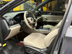 BYD Tang New Energy DM-i 115KM Premium Edition - ფოტო 9