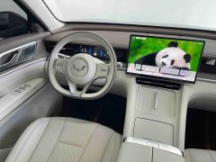 Wuling Starlight L 260km Six-Seat Flagship - фото 20
