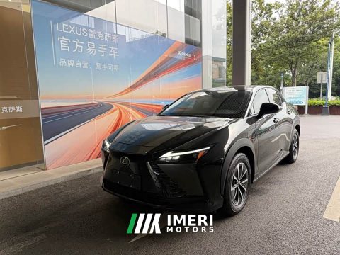 2023 Lexus RZ 450e AWD Luxury Edition - ავტომობილი ჩინეთიდან