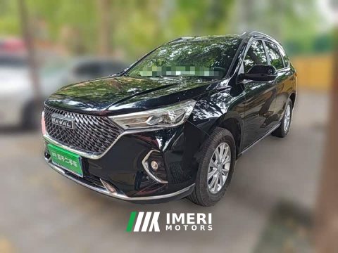 2021 Haval M6 PLUS 1.5T DCT Luxury Smart Connected Edition - ავტომობილი ჩინეთიდან