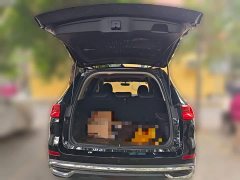 Haval M6 PLUS 1.5T DCT Luxury Smart Connected Edition - ფოტო 15