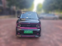 Geely Panda 210km Panda Kart - photo 2