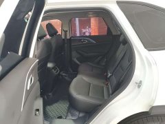 Haval H6L 1.5T Max - photo 11