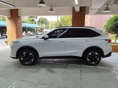 Haval H6L 1.5T Max - photo 2