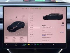 Tesla Model Y Facelift Long Range Rear-Wheel Drive - фото 10