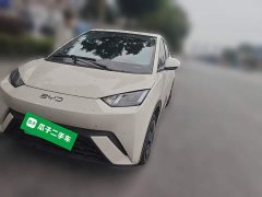 BYD Seagull 305km Vitality Edition - photo 1