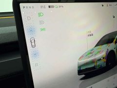 Tesla Model Y Rear-Wheel Drive - photo 14