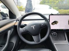 Tesla Model 3 Facelift Standard Range RWD Upgrade 3D1 - ფოტო 11
