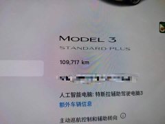 Tesla Model 3 Facelift Standard Range RWD Upgrade 3D1 - ფოტო 13