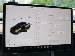 Tesla Model 3 Facelift Standard Range RWD Upgrade 3D1 - ფოტო 14