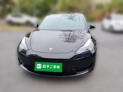 Tesla Model 3 Facelift Standard Range RWD Upgrade 3D1 - ფოტო 2