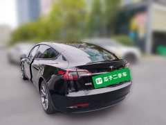 Tesla Model 3 Facelift Standard Range RWD Upgrade 3D1 - ფოტო 4