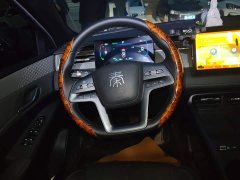 BYD Qin PLUS DM-i Smart Drive 128KM Entry-Level - ფოტო 11