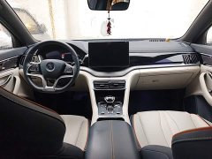 BYD Song Plus New Energy DM-i 51KM Premium Edition - photo 10