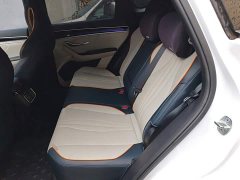 BYD Song Plus New Energy DM-i 51KM Premium Edition - photo 18