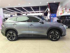 Jetour Jietu Dasheng 1.5TD DCT Flagship Edition - photo 13
