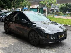 Tesla Model Y Rear-Wheel Drive - фото 3