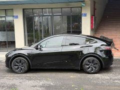 Tesla Model Y Rear-Wheel Drive - фото 6