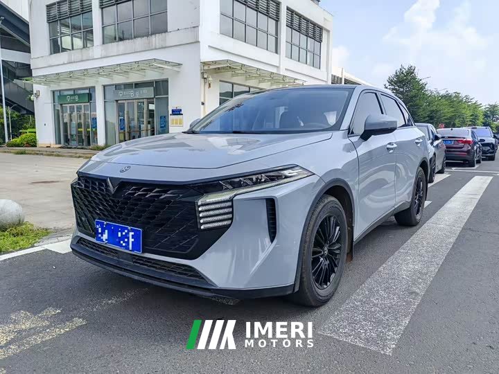 Nissan Raize 260T Love Bean Edition - car from China