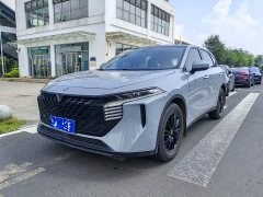 Nissan Raize 260T Love Bean Edition - photo 1