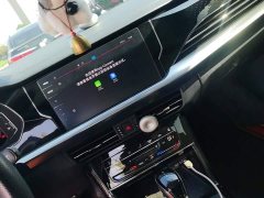 Volkswagen Passat Facelift 330TSI Starry Sky Luxury Edition - фото 13