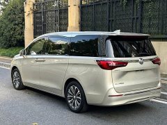Buick GL8 ES Land Respect 653T Premier - ფოტო 4