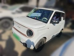 Geely Panda Mini 200km Endurance Edition - ფოტო 1