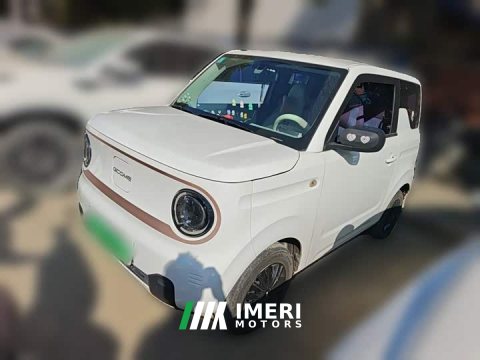 2023 Geely Panda Mini 200km Endurance Edition - автомобиль из Китая