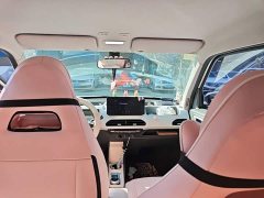 Geely Panda Mini 200km Endurance Edition - ფოტო 14