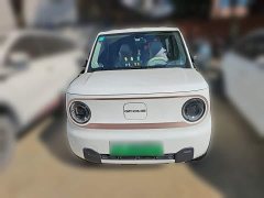 Geely Panda Mini 200km Endurance Edition - ფოტო 2