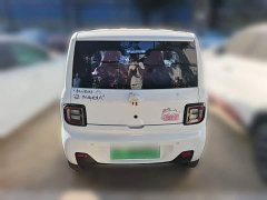 Geely Panda Mini 200km Endurance Edition - ფოტო 3