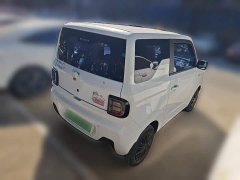 Geely Panda Mini 200km Endurance Edition - ფოტო 4