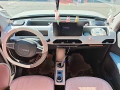 Geely Panda Mini 200km Endurance Edition - ფოტო 5