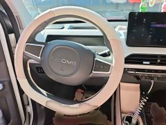 Geely Panda Mini 200km Endurance Edition - ფოტო 6