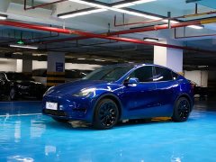 Tesla Model Y Rear-Wheel Drive - photo 1