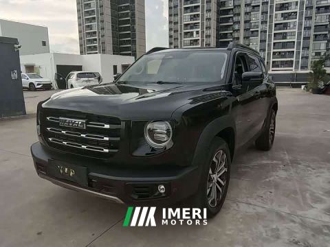 2022 Great Wall Dachshund 1.5T DCT Two-Wheel Drive Border Collie Edition