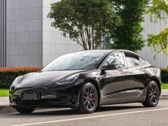 Tesla Model 3 Standard Range RWD Upgrade - ფოტო 1