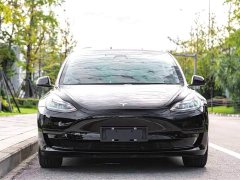 Tesla Model 3 Standard Range RWD Upgrade - ფოტო 2