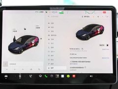 Tesla Model 3 Standard Range RWD Upgrade - ფოტო 8