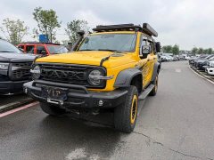 Tank 300 2.0T Frontier Limited Edition - ფოტო 1