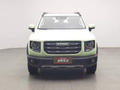 Great Wall Dachshund 1.5T DCT Two-Wheel Drive Border Collie Edition - photo 3