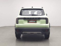 Great Wall Dachshund 1.5T DCT Two-Wheel Drive Border Collie Edition - photo 4