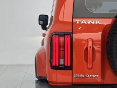 Tank 300 City Edition 2.0T Stylish - photo 4